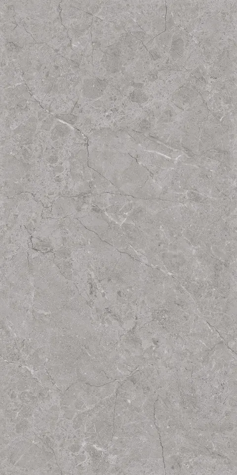 REFINE GREY SILK view 4